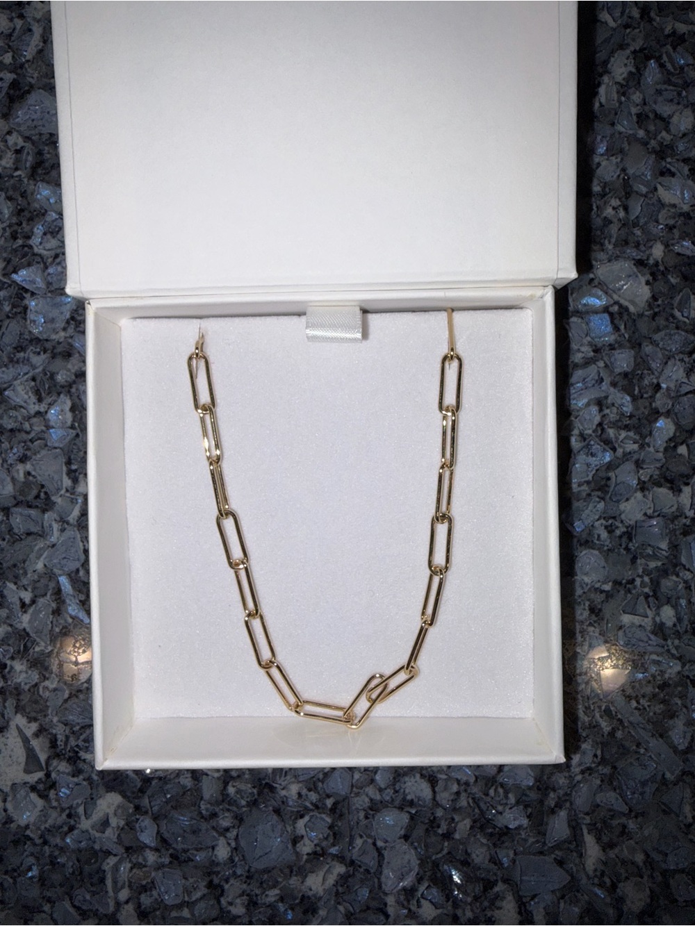 St. Eve Delicate Gold Paperclip Chain Necklace for Women
